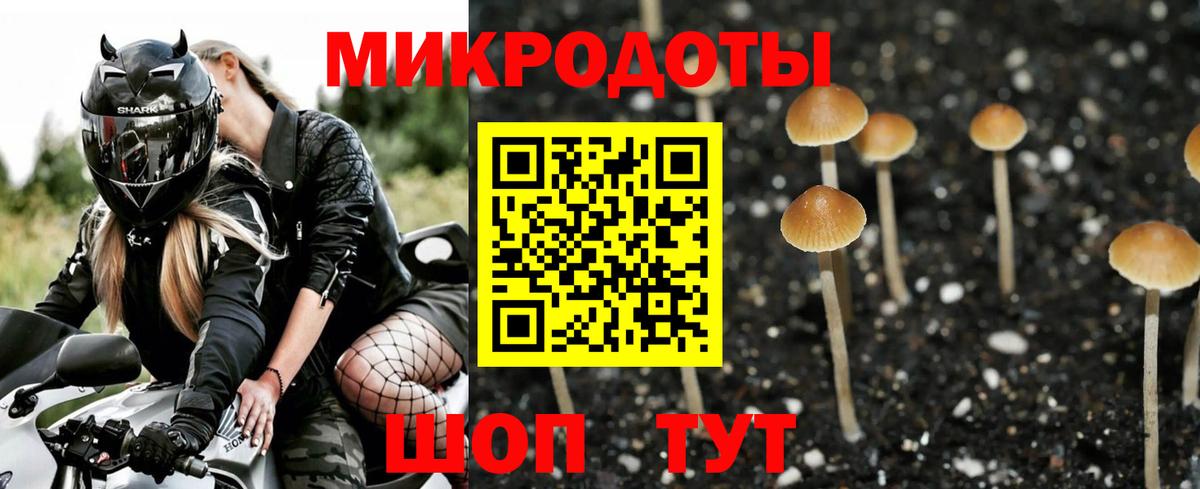 Псилоцибиновые грибы мухоморы  Вход с VPN  Вичуга  наркота  Псилоцибиновые грибы прущие грибы 