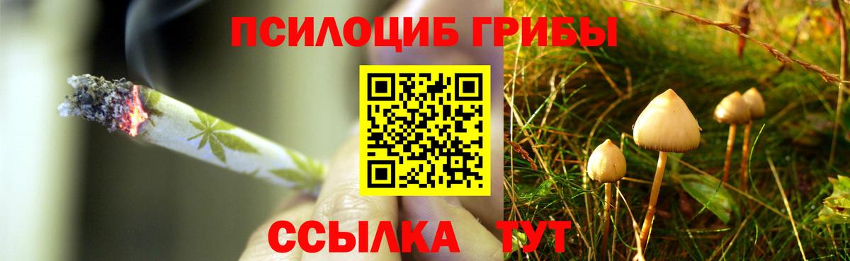 Галлюциногенные грибы прущие грибы Вичуга